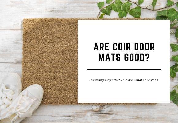 A pair of white shoes lay on a coir door mat surrounded by vines. The blog header reads Are Coir Door Mats Good?