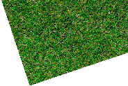 Thick Pile Artificial Grass Custom Size